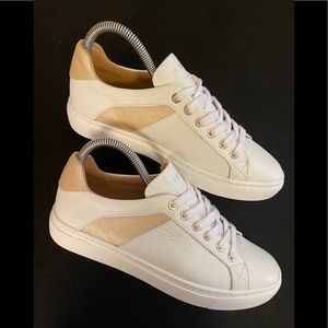 M. Gemi “The Tania”